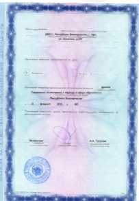 Заключение ГИБДД